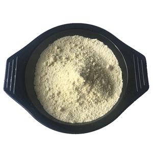 SODIUM DECYL SULFATE