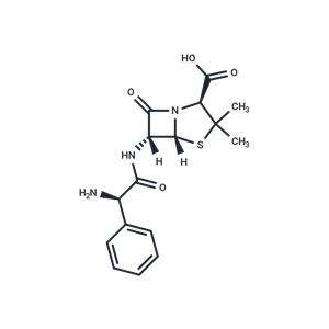 Ampicillin