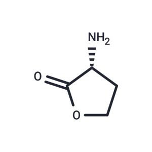 D-Homoserine lactone