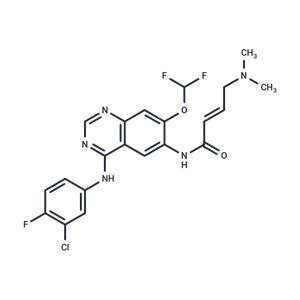 Mifanertinib