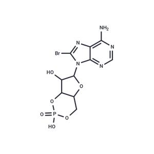 8-bromo-Cyclic AMP