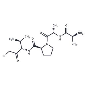 Ala-Ala-Pro-Val-chloromethylketone