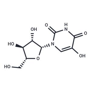 5-Hydroxy-arabinouridine