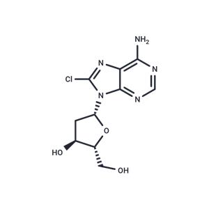 8-Chloro-2’-deoxyadenosine