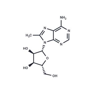 8-Methyladenosine