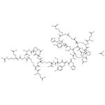 α-Conotoxin GI acetate pictures