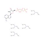 2’-Fluoro-2’-deoxy-arabinoadenosine ?5’-triphosphate triethyl ammonium salt pictures