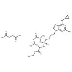 Rabacfosadine succinate pictures