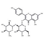 Kaempferol-3-O-glucorhamnoside pictures