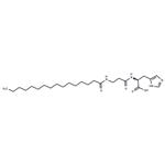 Palmitoyl carnosine pictures