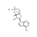 Sp-Cyclic AMPS (sodium salt) pictures