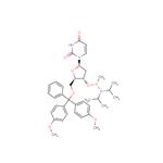 5’-O-DMTr-dU-methyl ? phosphonamidite pictures