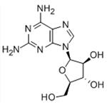 2,6-DIAMINOPURINE ARABINOSIDE pictures