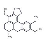 Ocoteine pictures