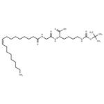 N'-Boc-N-(Gly-Oleoyl)-Lys pictures