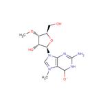 N7-Methyl-3’-O-methyl guanosine pictures