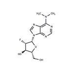 2’-Fluoro-2’-deoxy-N6,N6-dimethylarabinoadenosine pictures