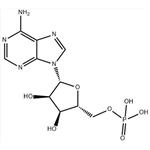 61-19-8 Adenosine 5'-monophosphate