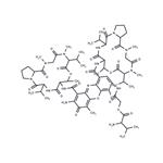 Actinomycin D1 pictures