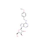 1-(b-D-Xylofuranosyl)-N6-(p-methoxybenzyl) ? adenine pictures