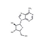 6-Methyl-9-(beta-D-xylofuranosyl)purine pictures