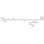 Lisinopril, epsilon-biotinamidocaproyl- pictures