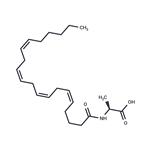 N-Arachidonoyl-L-Alanine pictures