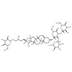 Protogracillin pictures