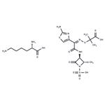 Aztreonam lysine pictures