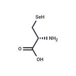 Selenocysteine pictures