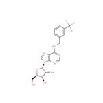 1-(b-D-Xylofuranosyl)-N6-(m-trifluoromethyl ? benzyl) adenine pictures