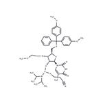 3’-O-MOE-5MeU-2’-phosphoramidite pictures