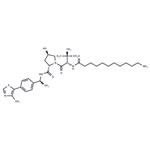 (S,R,S)-AHPC-Me-C10-NH2 pictures