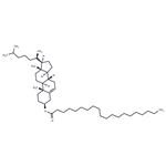 Cholesteryl Arachidate pictures