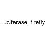 Luciferase, firefly pictures