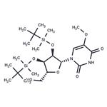 2’,3’-Bis(O-(t-butyldimethylsilyl)-5-methoxyuridine pictures