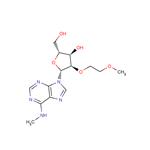 N6-Methyl-2’-O-(2-methoxyethyl) ? adenosine pictures