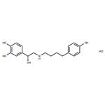 Arbutamine hydrochloride pictures