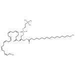 1-Stearoyl-2-docosahexaenoyl-sn-glycero-3-PC pictures