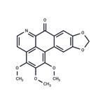 Oxophoebine pictures