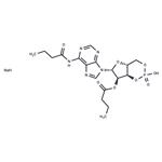 Bucladesine sodium pictures