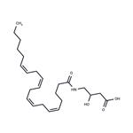 N-Arachidonoyl-3-hydroxy-γ-Aminobutyric Acid pictures