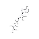 Aminoacyl tRNA synthetase-IN-1 pictures