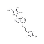 N6-(p-Hydroxyphenethyl)-Adenosine) pictures