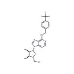 N6-(4-Trifluoromethylbenzyl)adenosine pictures