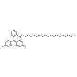 Fluorescein octadecyl ester pictures