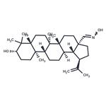 Betulinic Aldehyde oxime pictures