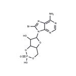 8-bromo-Cyclic AMP pictures