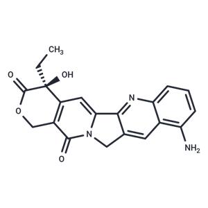 9-amino-CPT