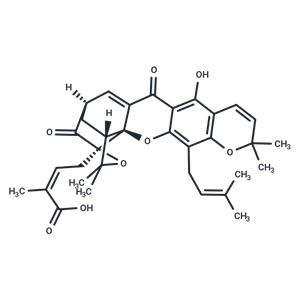 Morellic acid